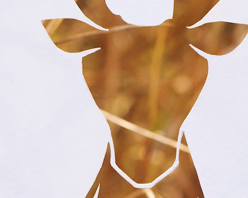 Die-Cutting
