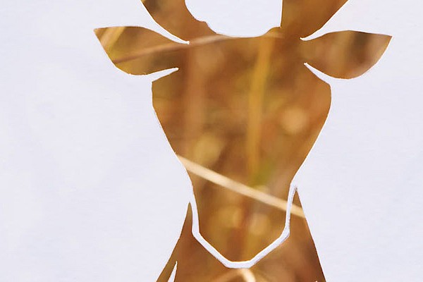 Die-Cutting