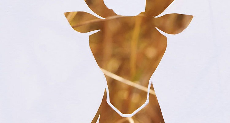 Die-Cutting
