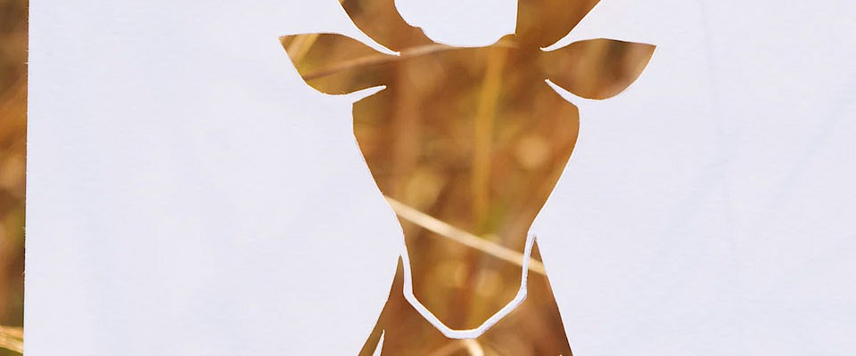 Die-Cutting